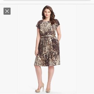 Eliza J Leopard print fit & flare dress